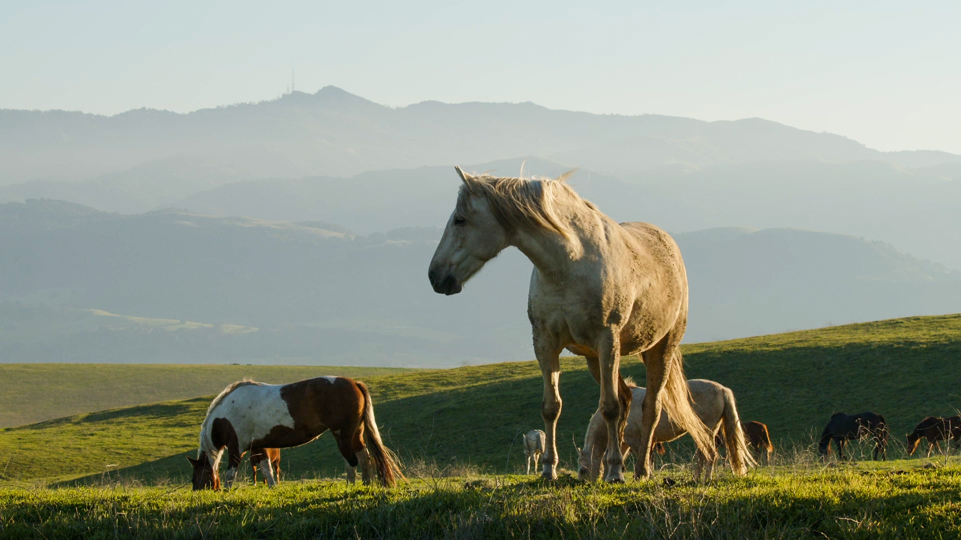 7 year old "Africa" with her family