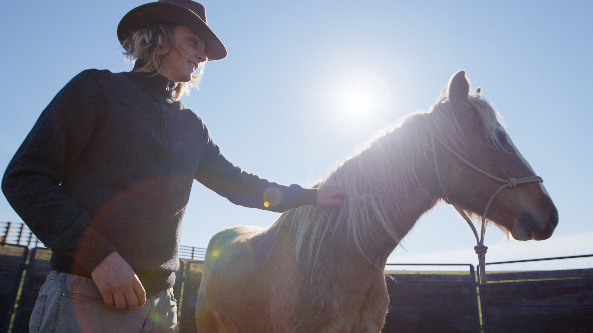 Cipi gentling 2 yr old mustang "Ash-Bash."