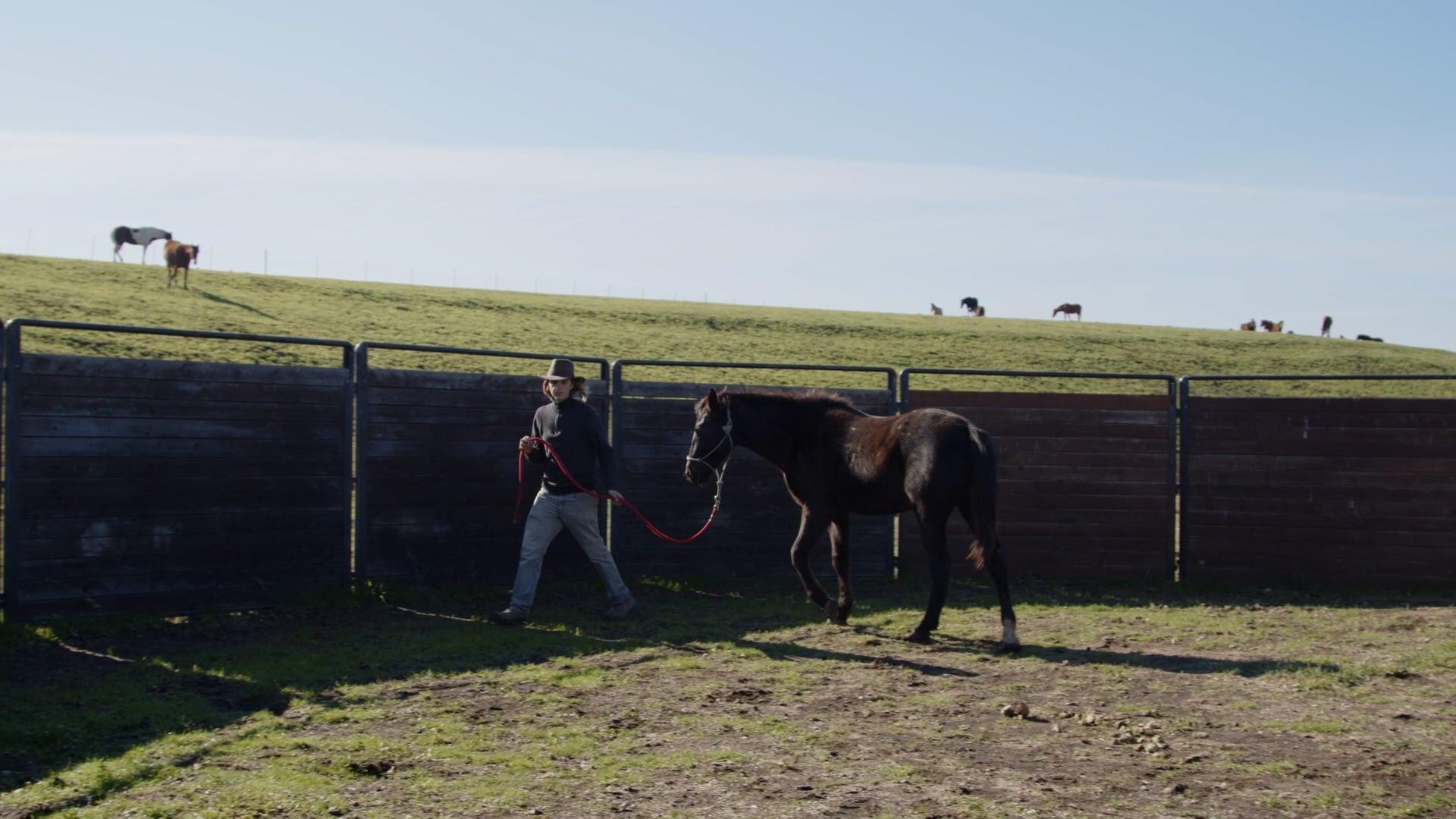 Woman walking around horse
